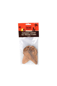 Flukers catappa Leaves for Hermit crabs, 5 per pack