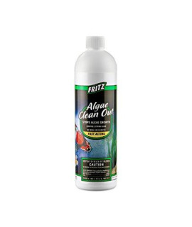 Fritz Aquatics Pond - Algae Clean Out Algaecide - 16oz