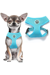 BINgPET Small Dog Harness - Breathable Mesh Puppy cat Harnesses - No Pull Adjustable Dog Harness Dog Vest Harness for Small and Medium Dogs