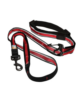 Kurgo 6 in 1 Hands Free Dog Leash, Reflective Running Belt Leash for Dogs, crossbody Waist Belt Leash, carabiner clip, Padded Handle, For Training, Hiking or Jogging, Quantum Leash