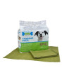 Greenbone Puppies & Indoor Dogs Training Pads 100 Count