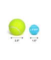 iFetch Interactive Ball Launcher for Dogs  Launches Mini Tennis Balls, Small,Multicolored