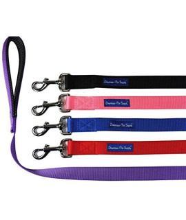 Downtown Pet Supply 6ft Dog Leash - Heavy-Duty Dog Leash with Padded Comfort Handle and Stainless Steel Fastener - Durable Dog Training Leash - 0.75 in Wide - Pink Dog Leash
