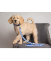 Pets First Collegiate Pet Accessories, Dog Leash, Duke Blue Devils, Large