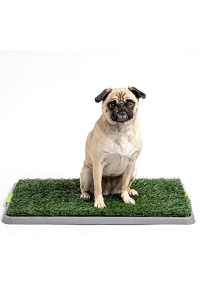 Potty Patch Dog Grass Pad Fake Grass for Dogs to Pee on, Indoor Dog Potty for Dogs Under 15lbs, Grass Pee Pads for Dogs with Tray, Small