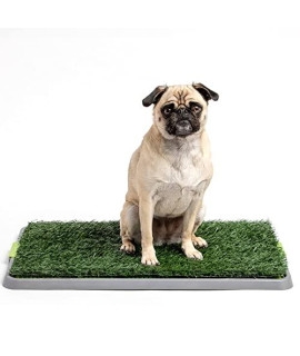 Potty Patch Dog Grass Pad Fake Grass for Dogs to Pee on, Indoor Dog Potty for Dogs Under 15lbs, Grass Pee Pads for Dogs with Tray, Small