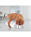 Iconic Pet 8 oz/ 1 Cup Anti Ant Stainless Steel Non Skid Pet Food/Water Bowl - Noise Free Ant Resistant Dog/Cat Feeding Bowl with Unique Design & Rubber Base Makes It an Elegant Ant Proof Dish