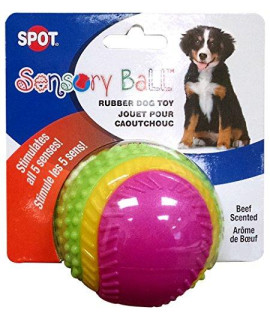 SPOT Ethical Pets Sensory Ball Dog Toy, 3.25