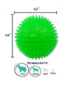 Gnawsome 4.5 Spiky Squeak & Light Ball Dog Toy - Extra Large, Cleans teeth and Promotes Dental and Gum Health for Your Pet, Colors will vary