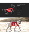 EzyDog Rashguard Vest - Premium Dog Shirt Allowing All-Day Water Use - Tested to Provide 50+ UV Protection - Innovative Designfor a Snug, Comfortable Fit (X-Large, Red)