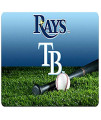 gameWear Tampa Bay Rays Baseball Pet Bowl Mat, Large