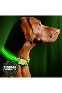 ILLUMISEEN LED Dog Collar USB Rechargeable  Bright & High Visibility Lighted Glow Collar for Pet Night Walking  Weatherproof, in 6 Colors & 6 Sizes (Green Medium)