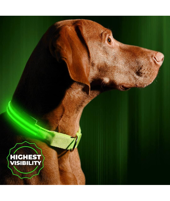 ILLUMISEEN LED Light Up Dog collar - Bright & High Visibility Lighted glow collar for Pet Night Walking - USB Rechargeable - Weatherproof, in 6 colors