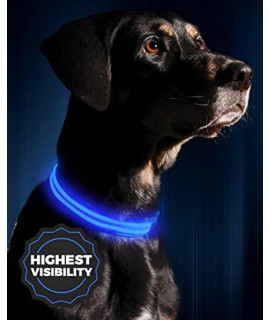 ILLUMISEEN LED Dog Collar USB Rechargeable  Bright & High Visibility Lighted Glow Collar for Pet Night Walking  Weatherproof, in 6 Colors & 6 Sizes (Blue Large)