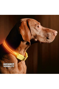 LED Dog collar, USB Rechargeable, X-Small (9 - 13.7 23 - 35cm), Bright Orange