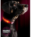 Illumiseen LED Light Up Dog collar - Bright & High Visibility Lighted glow collar for Pet Night Walking - USB Rechargeable - Weatherproof, in 6 colors