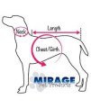 Mirage Pet Products Bringin' Sexy Back Screen Print Pet Hoodies, Medium, Brown