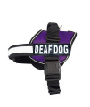Deaf Dog Nylon Dog Harness Vest. Purchase Comes with 2 Reflective Removable Deaf Dog pathces. Please Measure Your Dog Before Ordering
