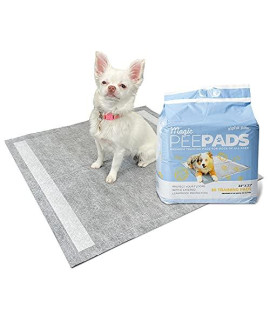 Alpha Paw - Thicker Pee Pads for Dogs - Puppy Training - Peel & Stick Backing - Activated Charcoal for Odor - Thicker for Absorption - Standard - 23 x 22 (80 Count)