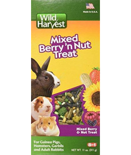 Wild Harvest Wild Berry and Nut Treat for Small Animals