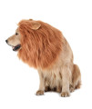 TOMSENN Dog Lion Mane - Realistic Funny Lion Mane for Dogs - complementary Lion Mane for Dog costumes - Lion Wig for Medium to Large Sized Dogs Lion Mane Wig for Dogs