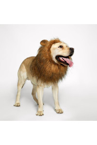 TOMSENN Dog Lion Mane - Realistic Funny Lion Mane for Dogs - complementary Lion Mane for Dog costumes - Lion Wig for Medium to Large Sized Dogs Lion Mane Wig for Dogs