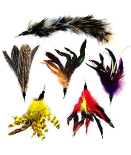 Pet Fit For Life Multi Piece Replacement Feathers Pack Plus Bonus Soft Furry Tail for Interactive Cat and Kitten Toy Wands