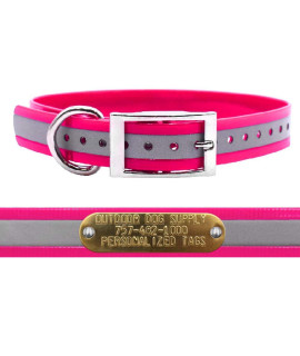 Outdoor Dog Supplys 1 Wide Reflective D Ring Dog collar Strap with custom Brass Name Plate (21 Long, Reflective Pink)