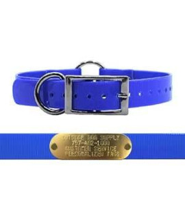 Outdoor Dog Supplys 1 Wide Solid Ring In Center Dog Collar Strap With Custom Brass Name Plate (21 Long, Light Blue)