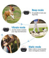 Petrainer Pet998Drb2 Dog Training Collar With Remote For 2 Dogs, Rechargeable Waterproof Dog Remote Collar With Beep, Vibration And Static Electronic Dog Collar, 1000 Ft Range