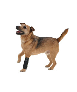 PET LIFE Extreme-Neoprene Joint and Hip Protective Recovery Supportive Reflective Pet Dog Sleeves Medium Black