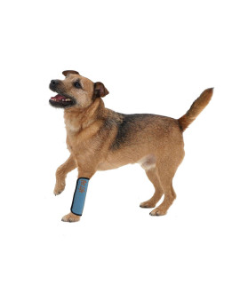 PET LIFE Extreme-Neoprene Joint and Hip Protective Recovery Supportive Reflective Pet Dog Sleeves Small Sky Blue
