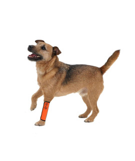 PET LIFE Extreme-Neoprene Joint and Hip Protective Recovery Supportive Reflective Pet Dog Sleeves Small Orange