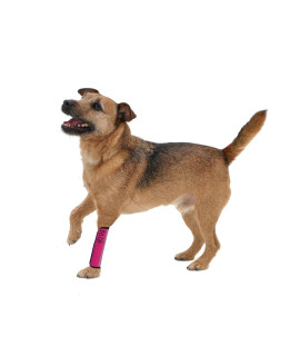 PET LIFE Extreme-Neoprene Joint and Hip Protective Recovery Supportive Reflective Pet Dog Sleeves Small Hot Pink