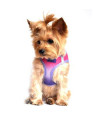 American River Dog Harness Ombre Collection - Raspberry Sundae (M (16 - 19 Girth))