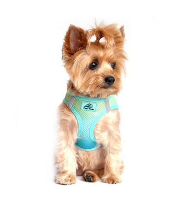 DOGGIE DESIGN American River Dog Harness Ombre Collection - Aruba Blue (S)