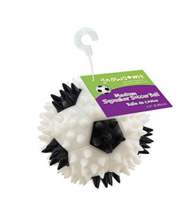 Gnawsome 3.5 Squeaker Soccer Ball Dog Toy - Medium, Promotes Dental and Gum Health for Your Pet, Colors Will Vary