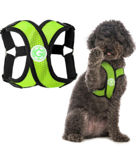 gooby comfort X Step in Harness - green, Large - No Pull Small Dog Harness Patented choke-Free X Frame - Perfect on The go Dog Harness for Medium Dogs No Pull or Small Dogs for Indoor and Outdoor Use