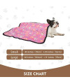 EXPAWLORER Pet Thick Blanket - Super Soft Premium Plush Blanket for Small Cats & Dogs