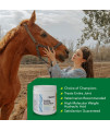 Ramard Total Equine Relief - Total Equine Supplement to Care for Joint & Tendon Health, Horse Feed to Address Swelling & Discomfort, Supplement for Horses' Performance, 1 Jar Apple Flavor (4.5 oz).