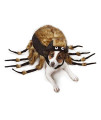 Zack & Zoey Fuzzy Tarantula Costume for Dogs, 16" Medium