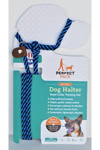 Bold Lead Designs Perfect Pace Halter (Blue/Black, XL 100-140 lbs Neck up to 22")
