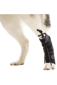 Walkin Rear No-Knuckling Training Sock Helps Dogs Pick up Their Feet When Knuckling Under or Dragging Their Rear Paws