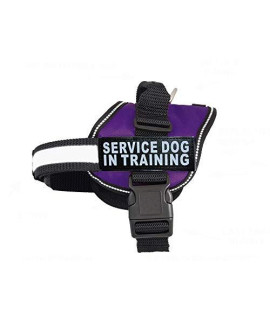 Doggie Stylz Service Dog in Training Vest with Hook and Loop Straps and Handle - Harness Comes in Sizes XXS to XXL - Three Colors - Dog Harness Features 2 Reflective Patches (Girth 30?- 42" Purple)