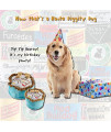 Haute Diggity Dog Yip Yip Hooray Collection | Unique Squeaky Parody Plush Dog Toys  Celebrate with Pupcakes!