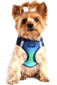 DOGGIE DESIGN American River Dog Harness Ombre Collection - Northern Lights XXL
