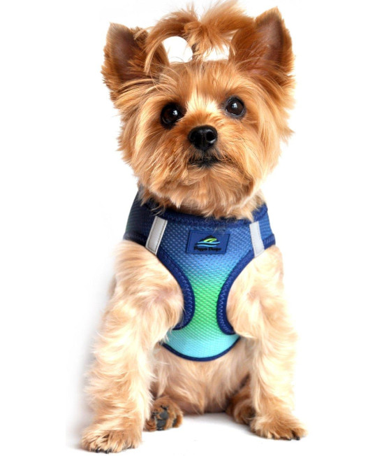 DOGGIE DESIGN American River Dog Harness Ombre Collection - Northern Lights XXL