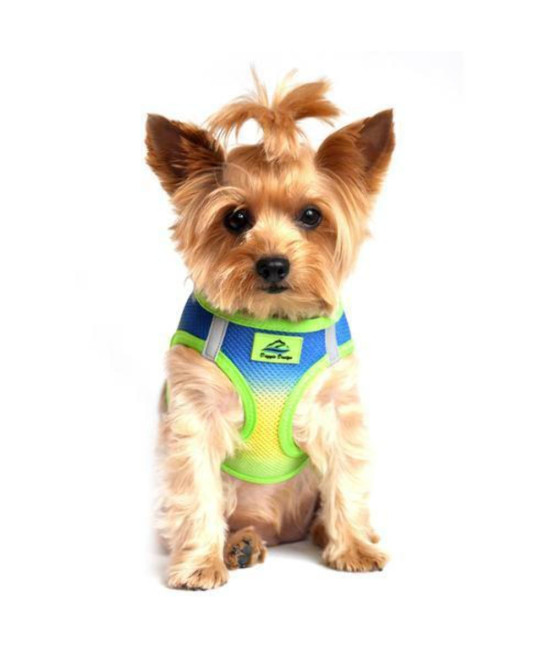 DOGGIE DESIGN American River Dog Harness Ombre Collection - Colbalt Sport