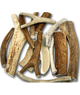Top Dog chews - Large Antler Variety Pack, Premium, grade A, Antlers for Large, Medium or Small Dogs, Antlers from Deer, Elk, Moose Included, Natural, Long Lasting, chews for Aggressive chewers, 2 lbs