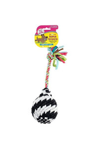 Scoochie Super Squeak Rope R Ball Dog Toy, Large